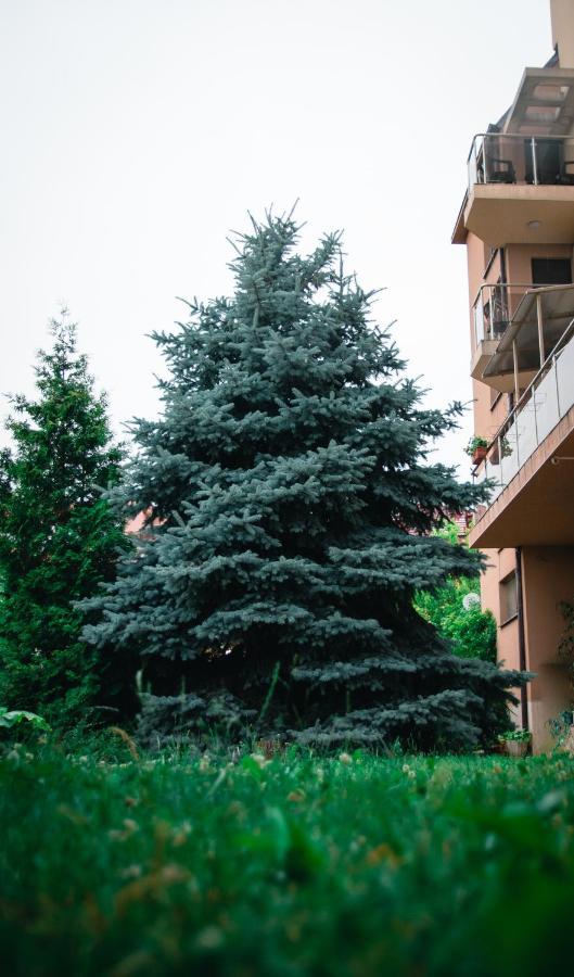 Holiday Apartment 7 Chisaria Zewnętrze zdjęcie